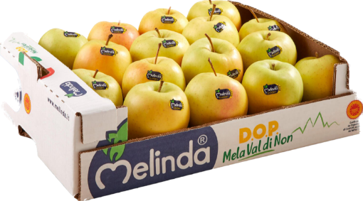 Immagine di Mele Golden MELINDA 80/85 in Padella