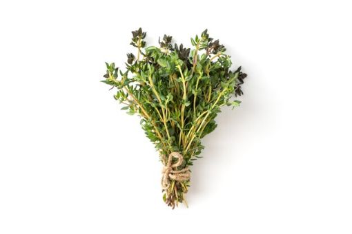 Immagine di Erba Timo al  Mazzo