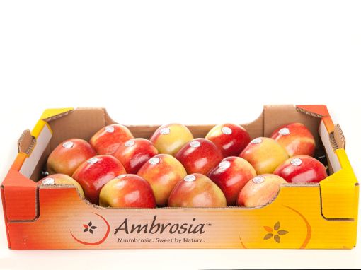 Immagine di Mele Ambrosia 80/85 Padella