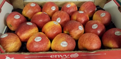 Immagine di Mele Envy 85/90 Padella