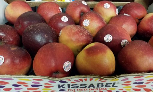 Immagine di Mele KIS.bel 80/85 MELINDA Padella