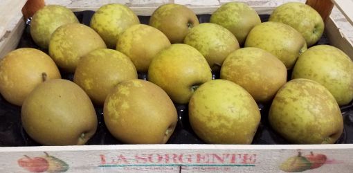 Immagine di Mele Golden Ruggine 18 la Sorgente