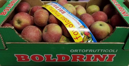 Immagine di Mele Staym 65/70 Boldrini  in Cartone