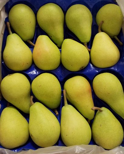 Immagine di Pere Cosce 32  in Cartoni  Cil.