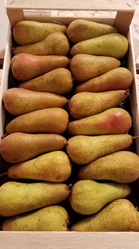 Immagine di Pere Abate 20 PAN in Legno