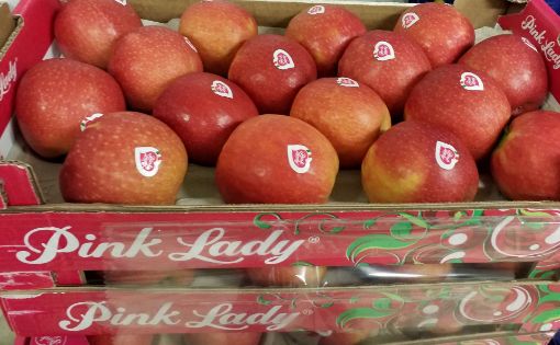 Immagine di Mele Pink Lady  80/85  Padella