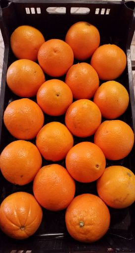 Immagine di Arance Navel 3/4 in Plastica Spa