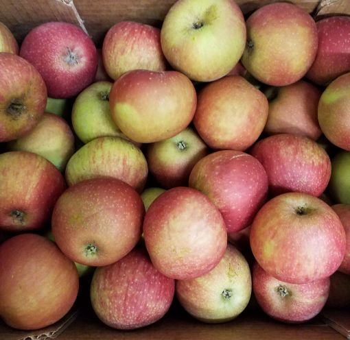 Immagine di Mele Staym 75/80 Tonioni