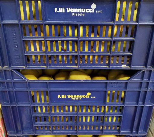 Immagine di Mele Golden Ruggine 75/80 da Bins