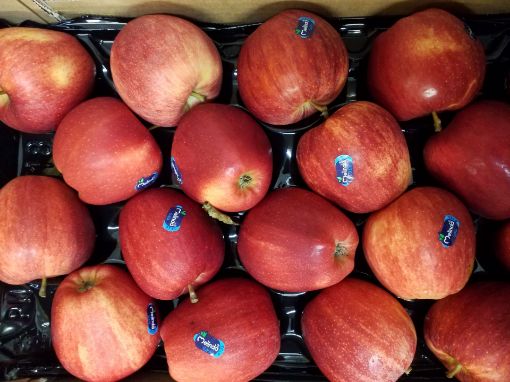 Immagine di Mele R.Gala MELINDA 80/85 in Padella