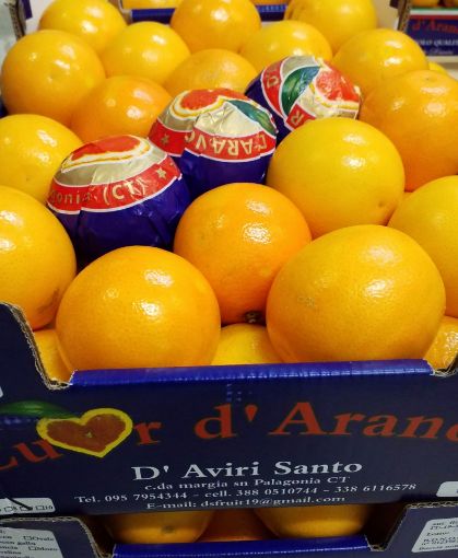 Immagine di Arance Tarocco G. 9 DAviri