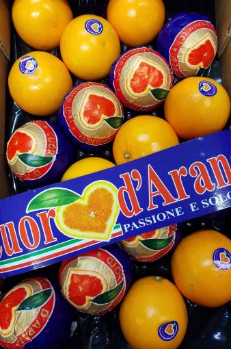 Immagine di Arance Tarocco G. 6 DAviri Padella