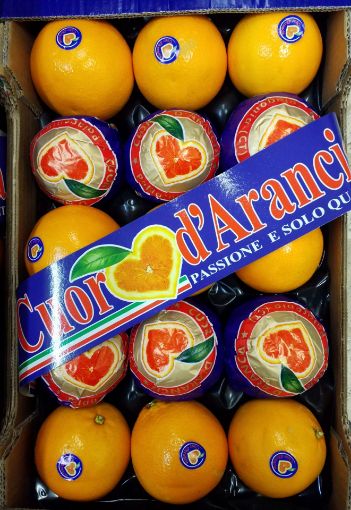 Immagine di Arance Tarocco G. 4 Daviri Padella