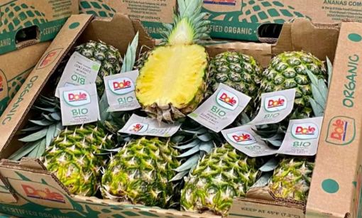 Immagine di Ananas