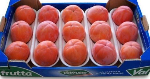 Immagine di Loti Mela V.frutta x 10/12 in Cartone  Ita