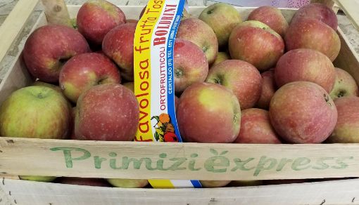 Immagine di Mele Staym 75+ Boldrini in Legno