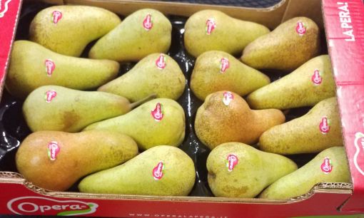 Immagine di Pere Abate 16 OPERA