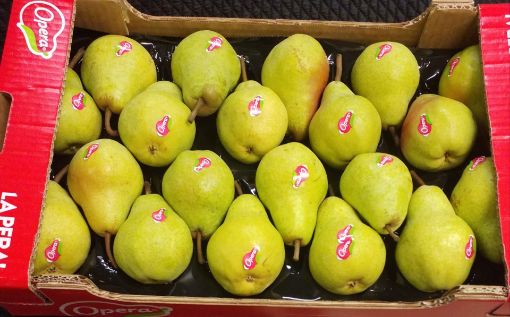 Immagine di Pere Williams 20 OPERA