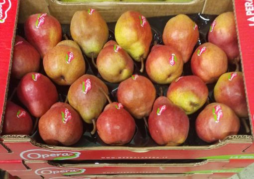 Immagine di Pere Will. Rosse 20 OPERA