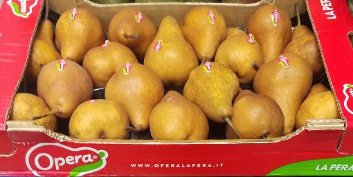 Immagine di Pere Kaiser 18 OPERA