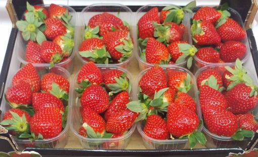 Immagine di Fragole  Vaschetta   Gr.250