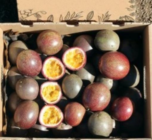 Immagine di Passion Fruit al collo