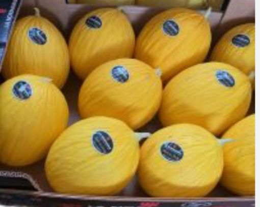 Immagine di Meloni Gialli  Bra.