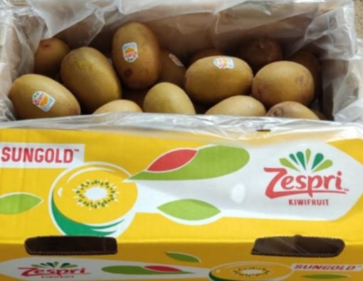 Immagine di Kiwi  GOLD Zespri
