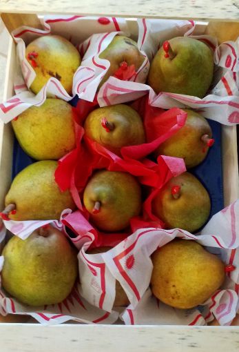 Immagine di Pere Decana 12 in Padella Legno  Ola