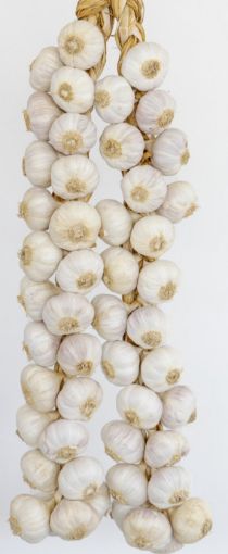 Immagine di Aglio Bianco Treccia Fra.