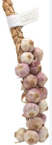Immagine di Aglio Treccia Viola  Fra
