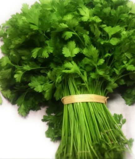 Immagine di Prezzemolo FINE