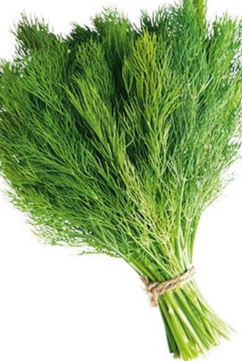 Immagine di Erba Aneto al Mazzo