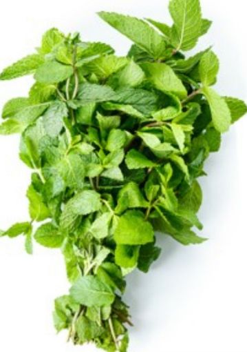 Immagine di Menta al  Mazzo