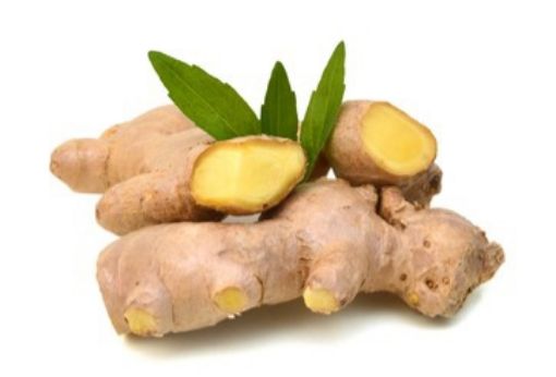 Immagine di Ginger a  Peso