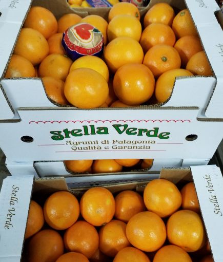 Immagine di Arance Tarocco G.10 Daviri