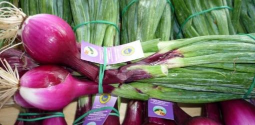 Immagine di Cipolle Fresche Tropea M.Grossi