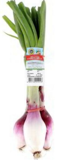 Immagine di Cipolle Fresche Tropea M. Pic