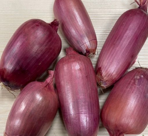 Immagine di Cipolle Ramate