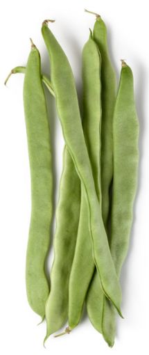 Immagine di Fagioli TACCOLE  MA