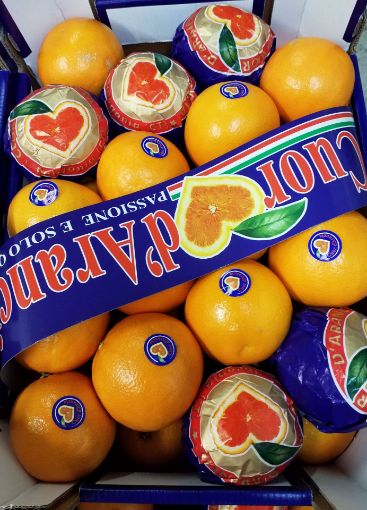 Immagine di Arance Tarocco G. 6 DAviri Doppioni