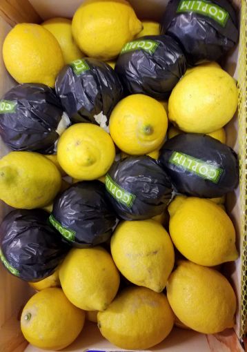 Immagine di Limoni COPLIM Legno Spa