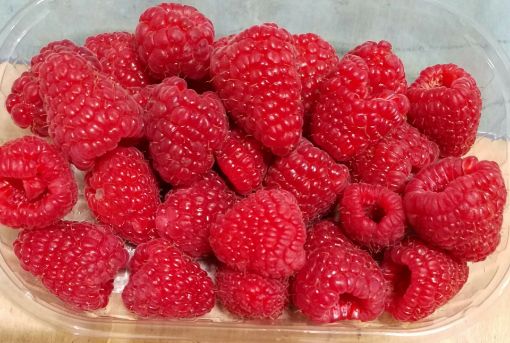 Immagine di LAMPONI Vas.tta x125 Estero