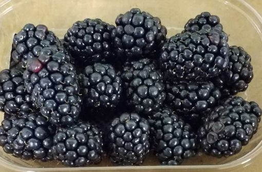 Immagine di MORE Vaschetta  x125 gr. Estere