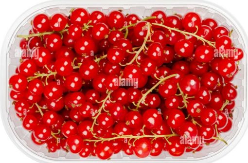 Immagine di RIBES in Vas.tta x125 gr.Italia