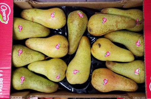 Immagine di Pere Abate 14 OP