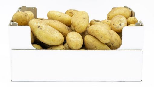 Immagine di Patate Bianche MATTIOLI