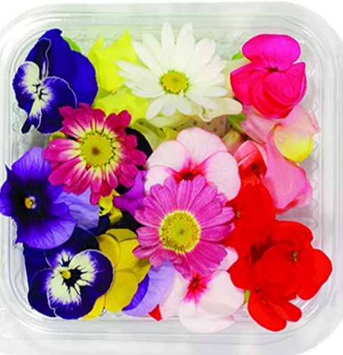 Immagine di Fiori Edibili al pezzo  Bio IT-BIO006B3699