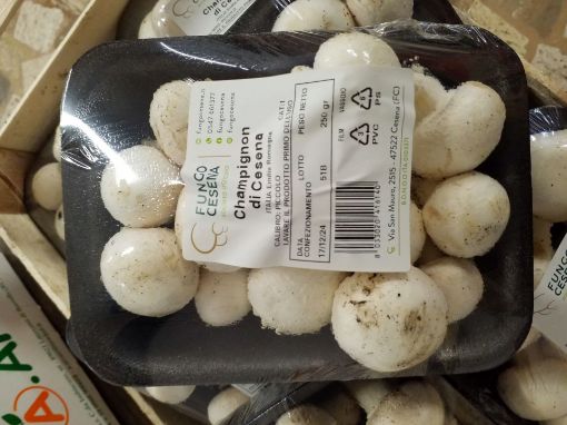 Immagine di Funghi Ch.gnon in Conf. x 8 al Pezzo