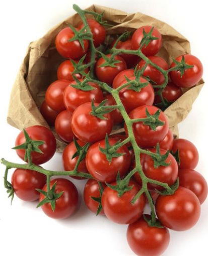 Immagine di CILIEGINO  Pom  Maturo